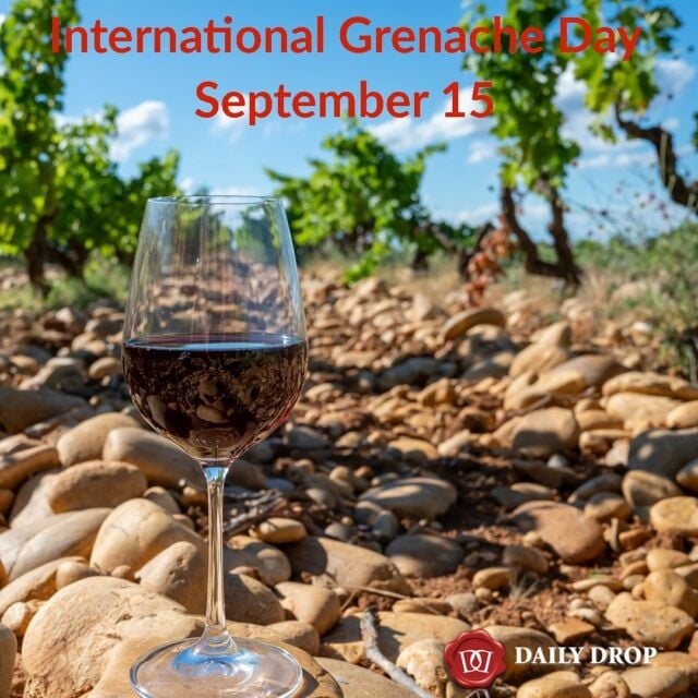Grenache is grown around the world and it is mostly known as a blending partner with other grape varieties. However, when it is made into a varietal wine on it’s own, Grenache can produce a much loved and richly flavoured red wine that shows an abundance of red berries and delicious peppery spices. Some of the finest Grenache wines are made in Chateauneuf du Pape (pictured, with the large stones or 'galets' that reflect the sun onto the grapes to assist with ripening), in the Southern Rhone. Those wines are usually made from 100% Grenache. Other great wines from this region are made from Grenache blended with Syrah and Mourvedre. These iconic wines are also full-bodied, rich and textural with a concentration of spicy red fruit aromas and flavours. In Spain, Grenache is known as Garnacha and it is used in blends with Tempranillo, from regions such as Priorat and Rioja. Outside of Europe, some of the world’s highest quality Grenache wines are made in the Barossa Valley and McLaren Vale, as well as other Australian regions. Made from old bush vines, these wines are known for their impressive concentration of ripe fruit flavours and their overall approachability. Being a late ripening grape, Grenache needs to be planted in warm or hot climates. #grenache #internationalgrenacheday